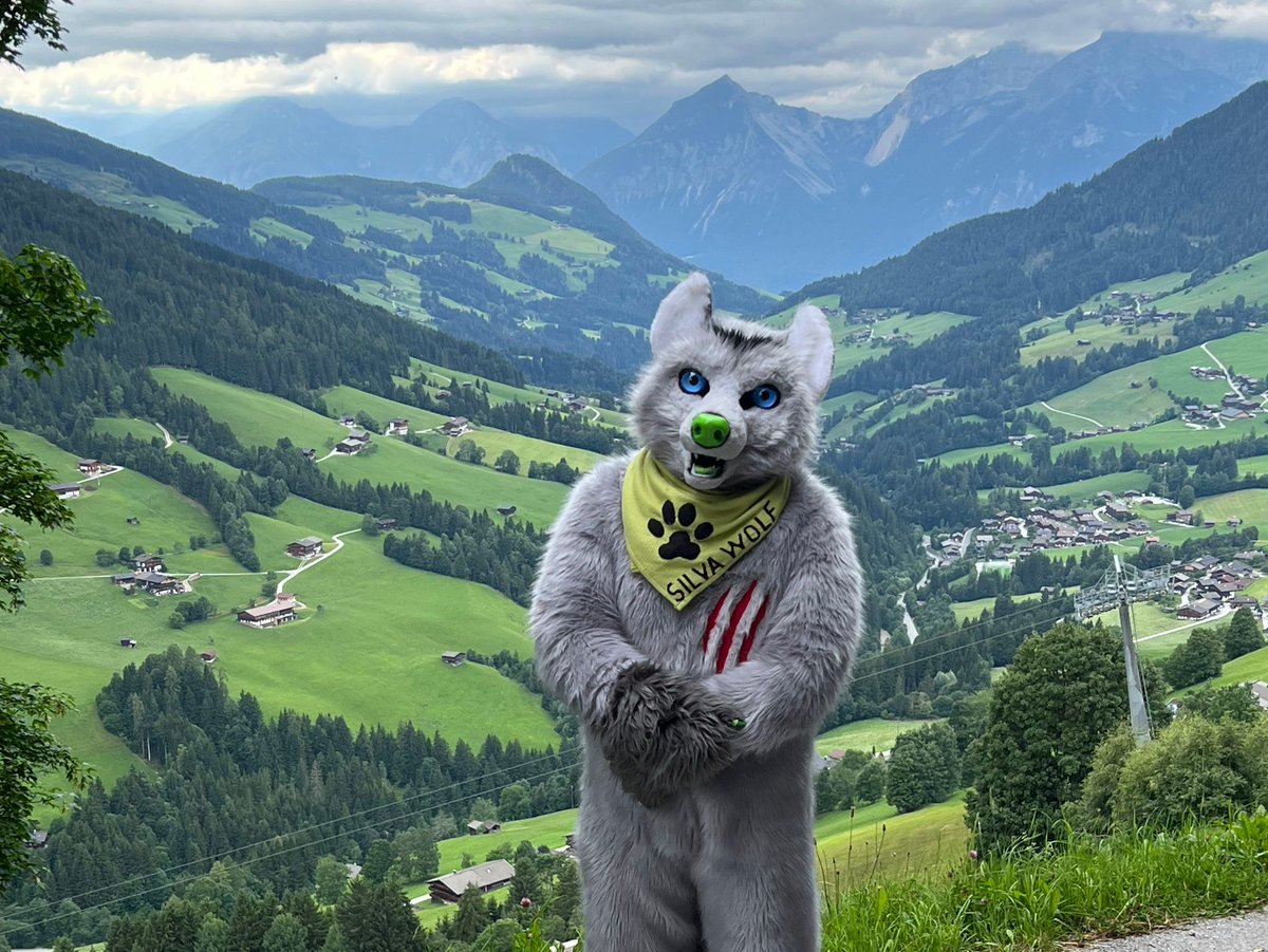 WOW! 
Ihr habt ganze 250 Bilder für den Furry-Kalender 2026 eingereicht! 📸
Vielen Dank an alle für eure tollen Einsendungen! 💛 

Nachdem die letzten Stimmen der Jury ausgezählt sind, dürfen wir bald die glücklichen Gewinner benachrichtigen!

#FurryKalender #Furry @2pfoten