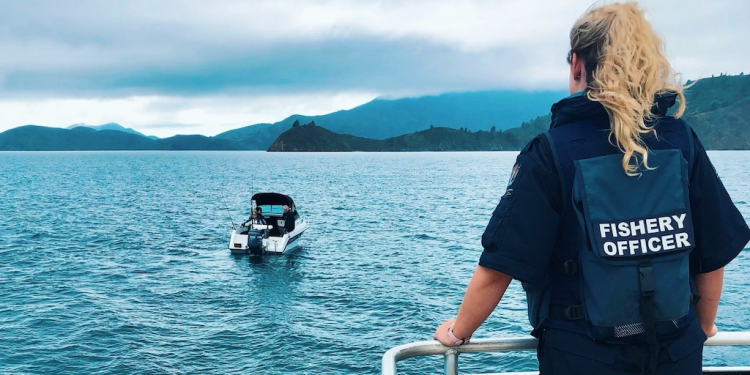 New Zealand : Heavy fine for illegal seaweed harvest
fiskerforum.com/heavy-fine-for…
#eatmorefish #buylocal #supportUKIrishfishingindustry