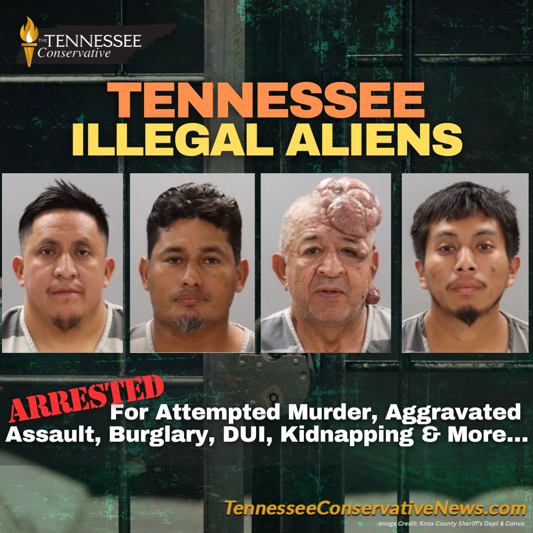 TnCoNews1's tweet image. 