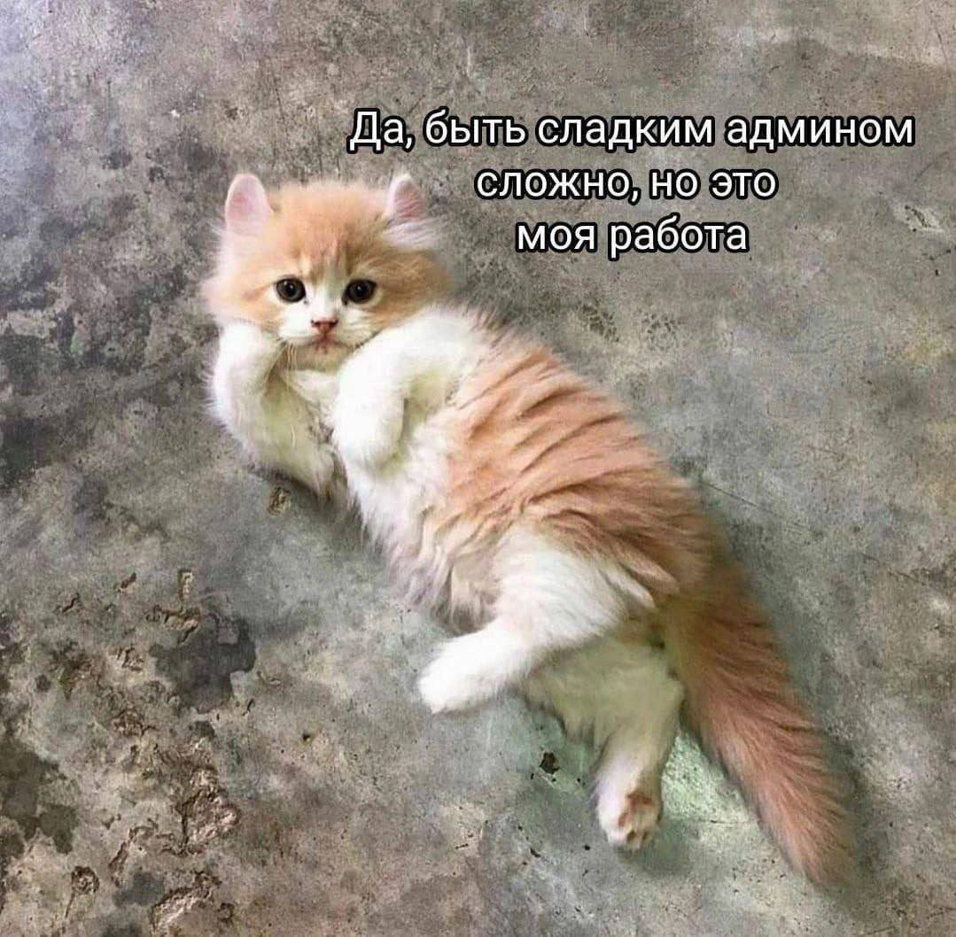 Котята, я тут пересмотрела ведение своего тг канала и в итоге теперь у меня отдельный аккаунт с артами: t.me/rinarinara_art
И отдельный аккаунт с фото и всякими штуками из жизни: t.me/rinarinara_uni…
Обновления буду постить постепенно, буду рада если присоединитесь 🦋✨