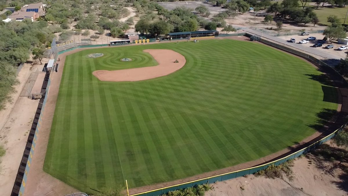 BaseballCDO's tweet image. Game ready ✅