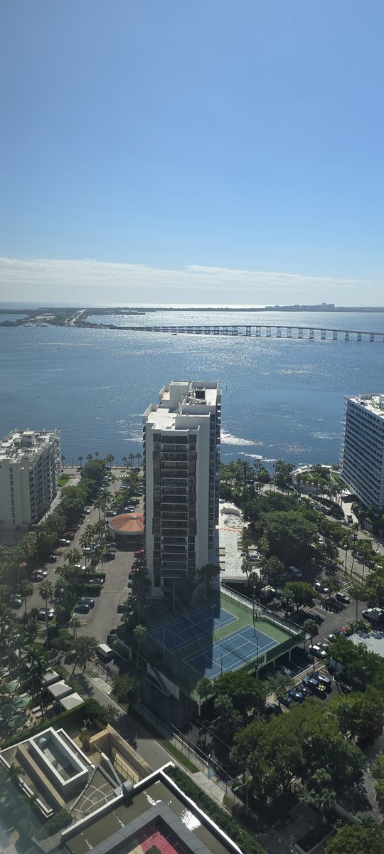 Timtation10's tweet image. Gm Miami