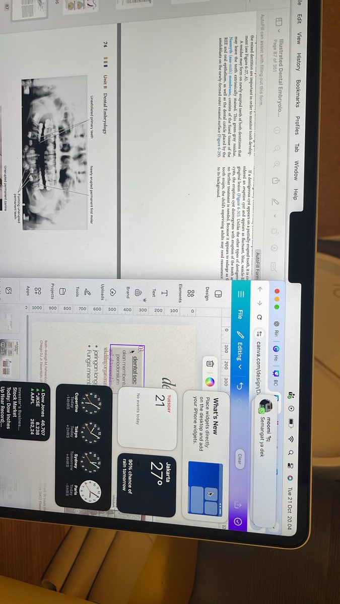 carperata's tweet image. life lately : ) ⭐️ 70% ppt 100% nangis