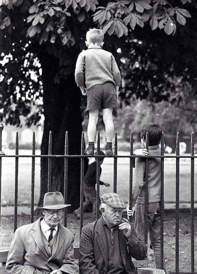 Boys need a different education to girls.