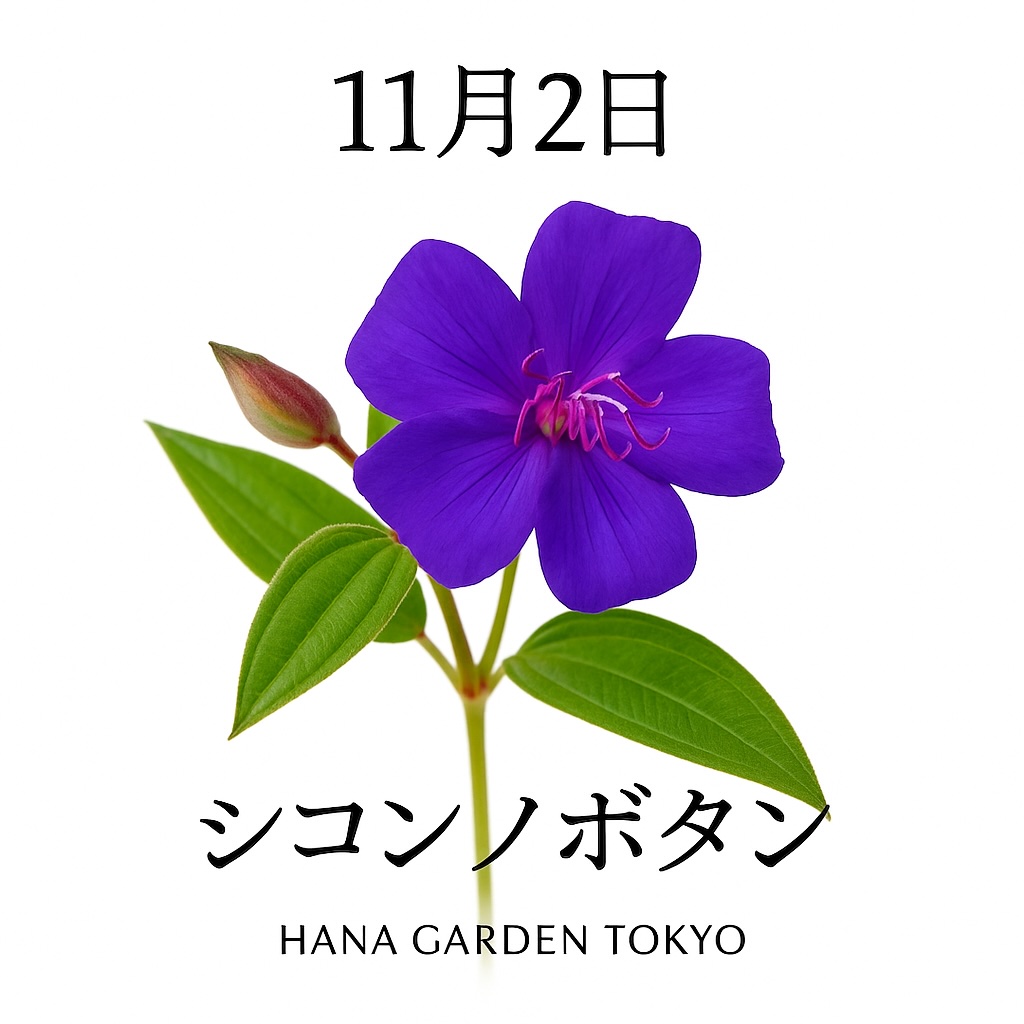 HANA GARDEN TOKYO on X