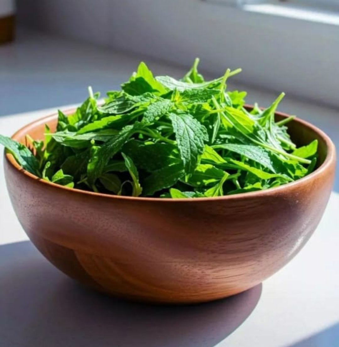 ShashankRajpali's tweet image. ये किस पौधे की पत्तियां हैं ....??
#NatureBeauty