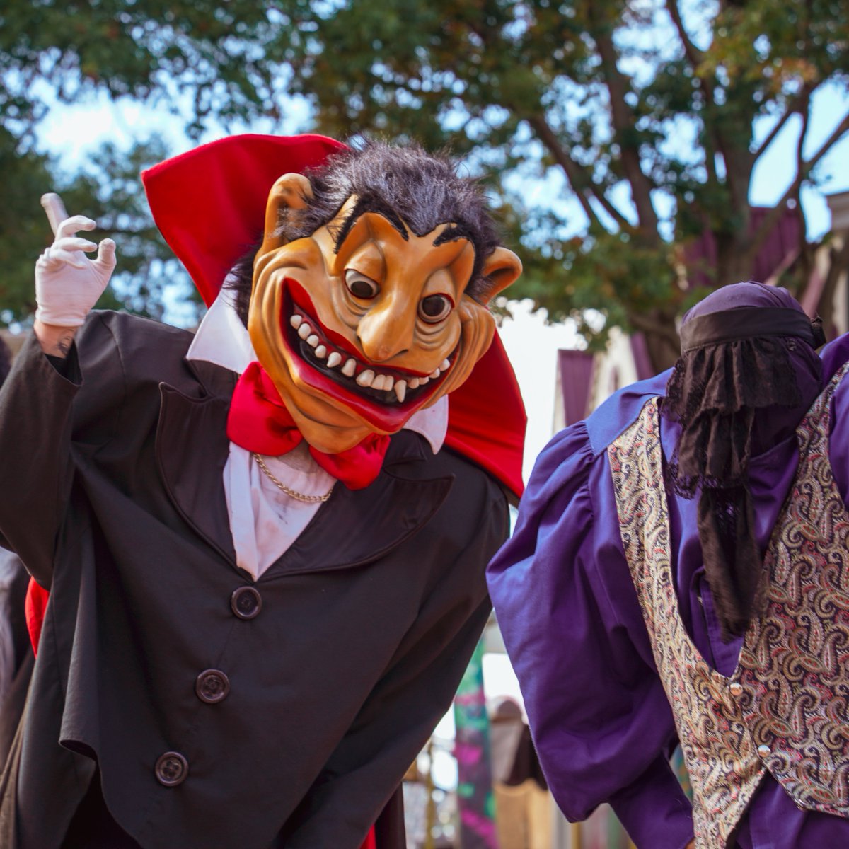 Six Flags America tweet media