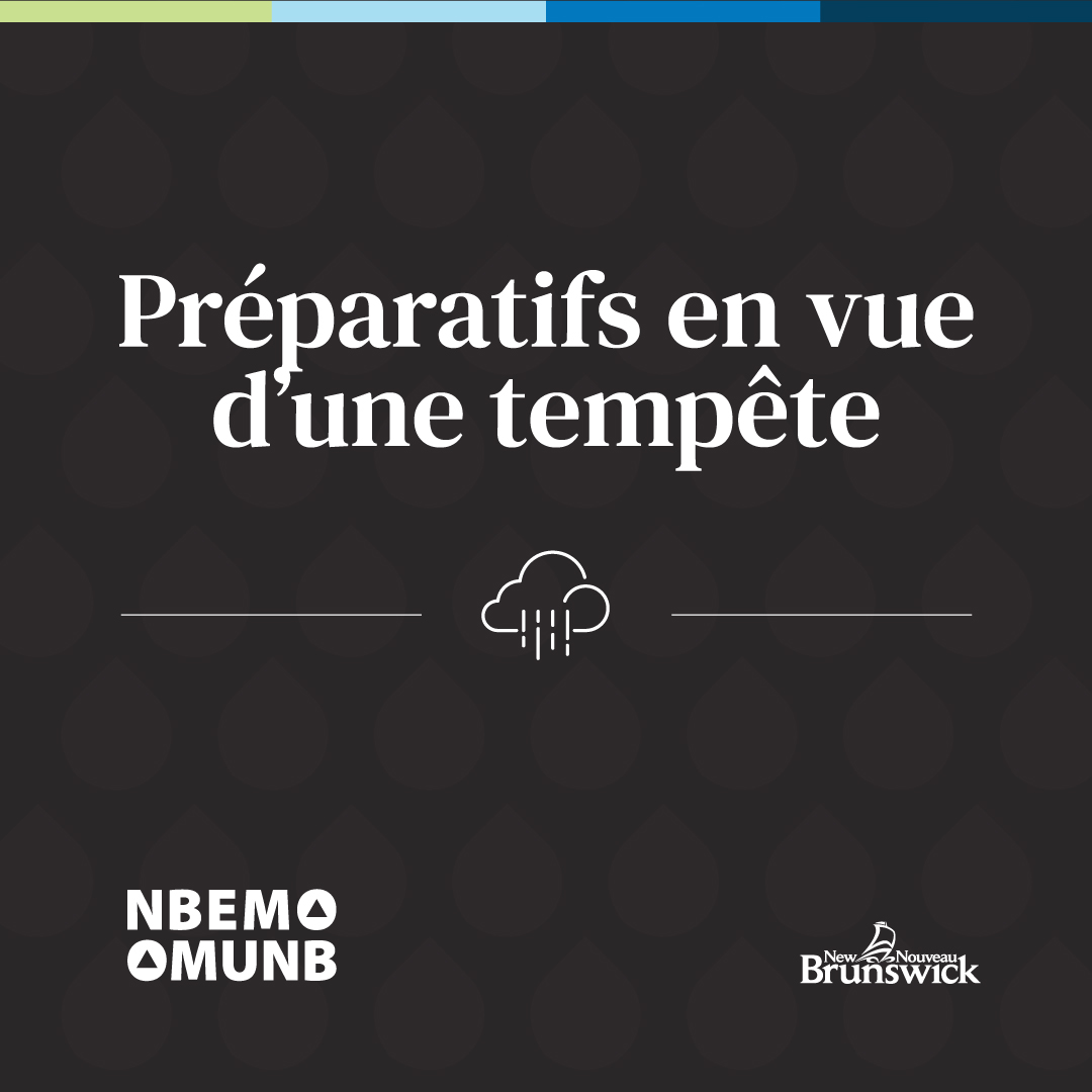Jusqu’à 60 mm de pluie est prévue. C'est le temps de se préparer.
• Assurez-vous que les descentes pluviales se déversent à une distance d'au moins 2 mètres de votre maison.
• Dégagez les débris des gouttières.
• Assurez-vous que votre pompe de puisard fonctionne.
• Ayez une