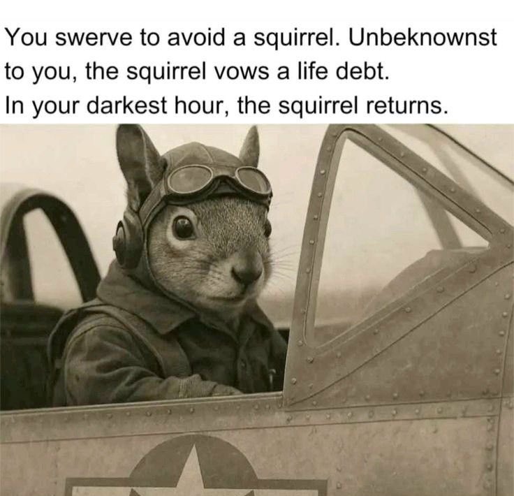 9thRealm's tweet image. 