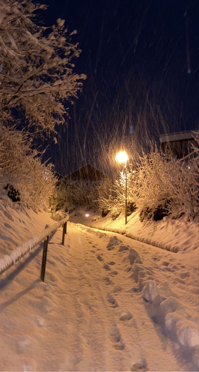 şöyle bir sakinlik (@soylebisakinlik) on Twitter photo 