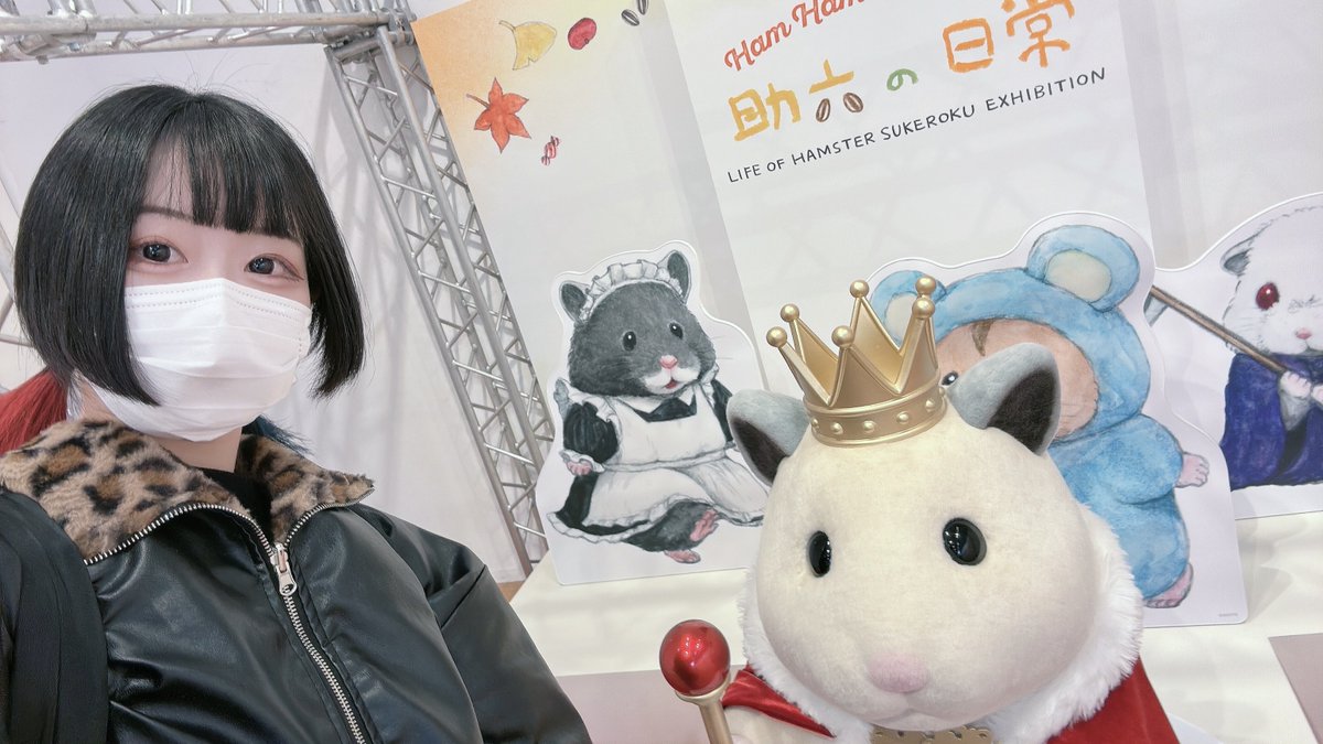 ひまわり？🌻🐇 (@himawariver) / Highlights / X