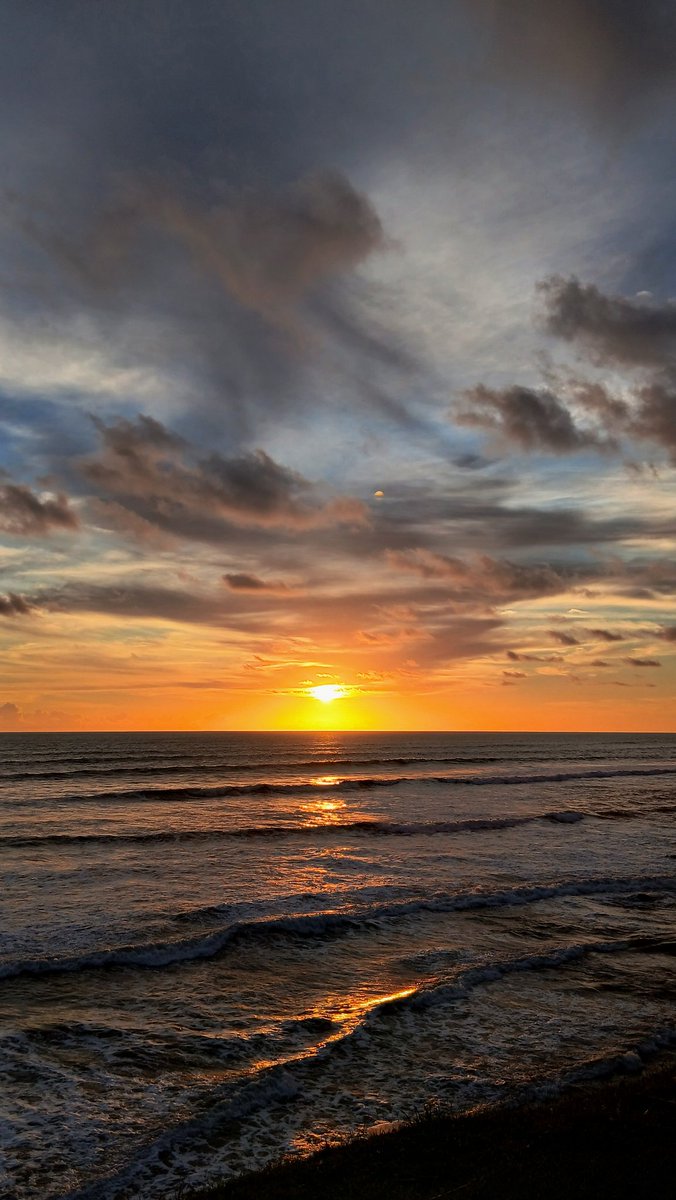 lm_idh's tweet image. 