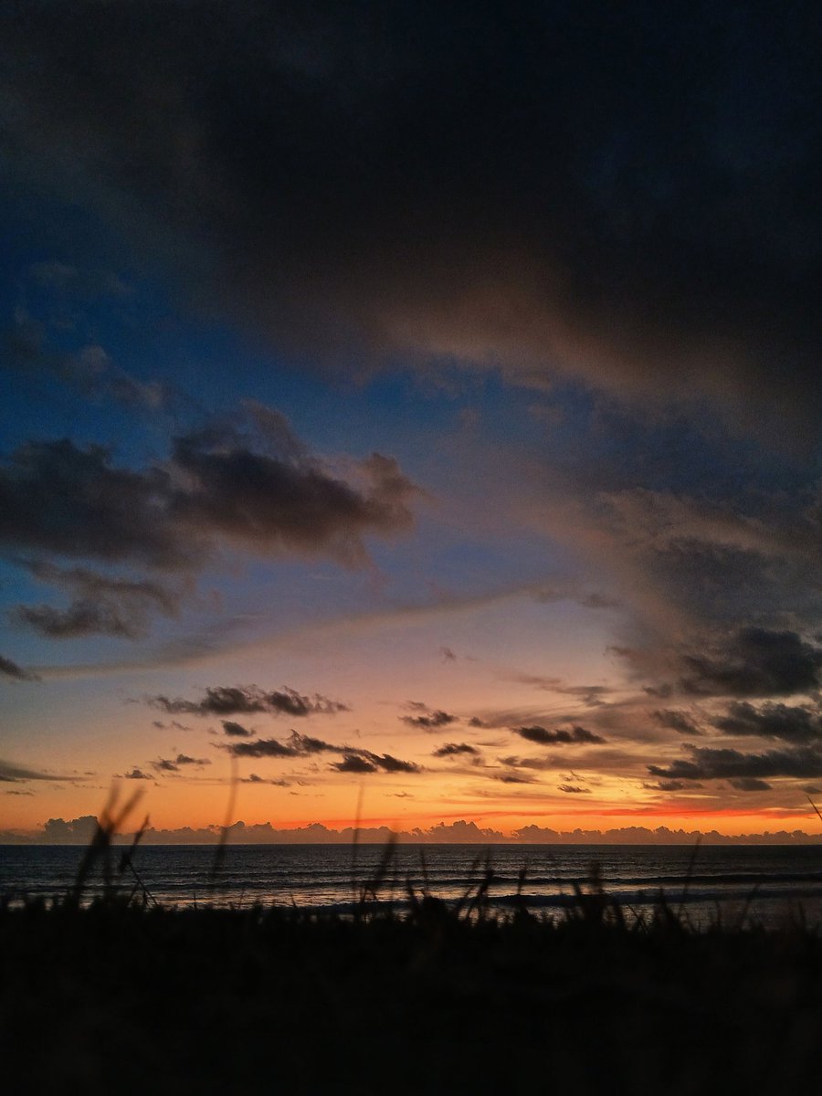 lm_idh's tweet image. 