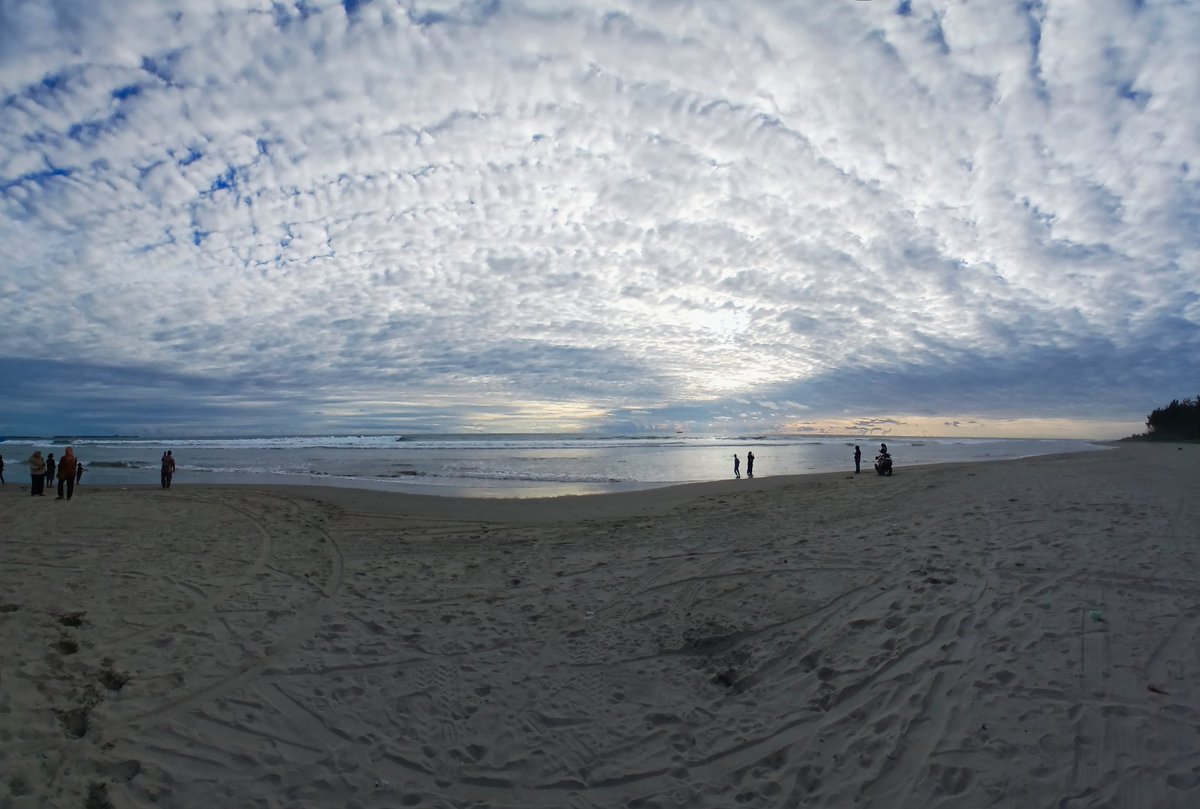 lm_idh's tweet image. 