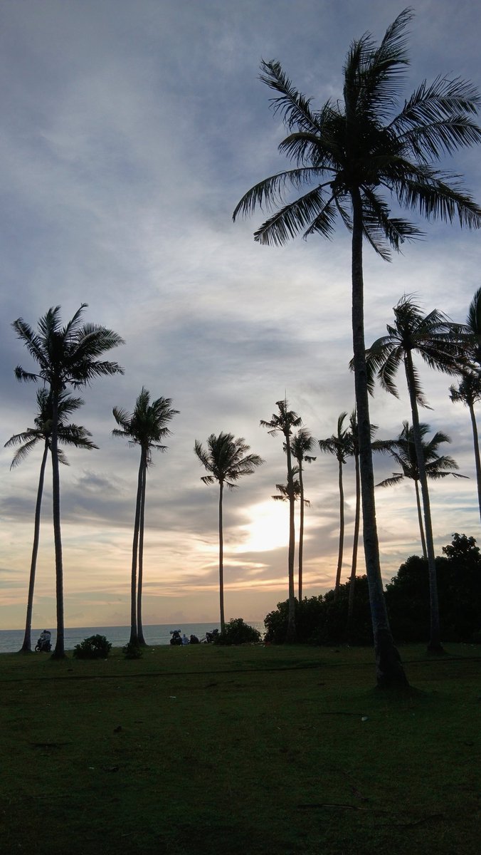 lm_idh's tweet image. 