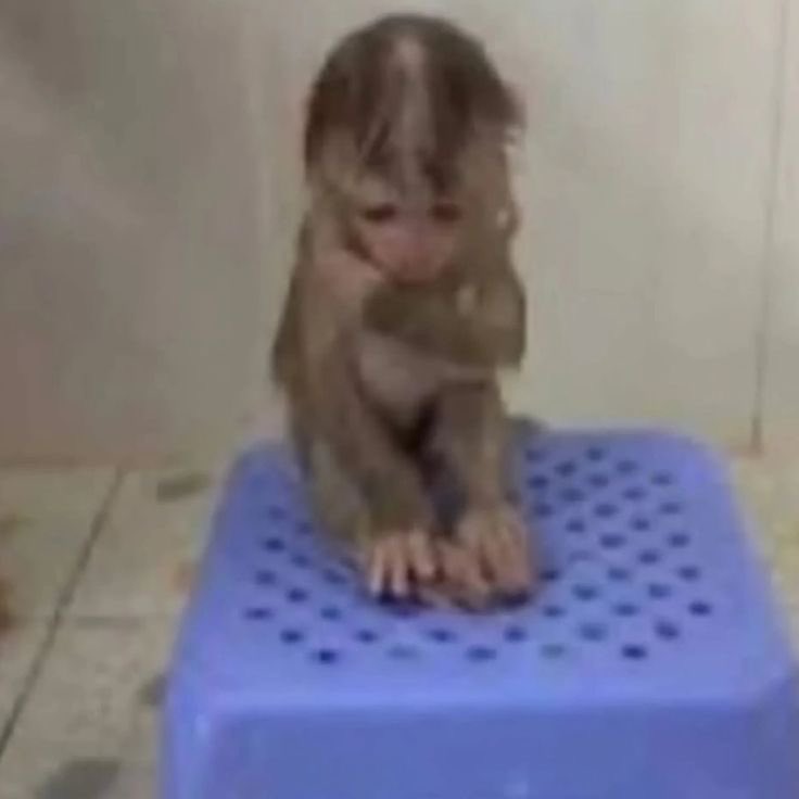 Pq me tratan tan feo si yo literalmente soy este