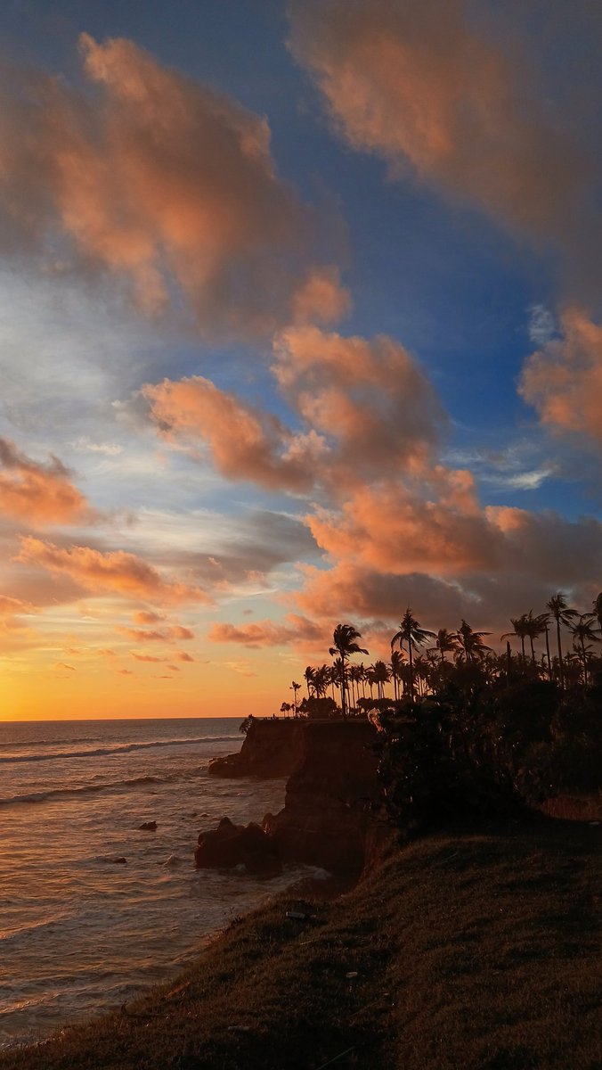 lm_idh's tweet image. 