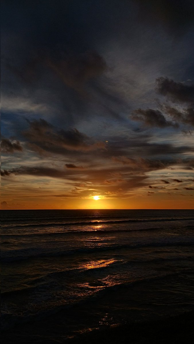 lm_idh's tweet image. 