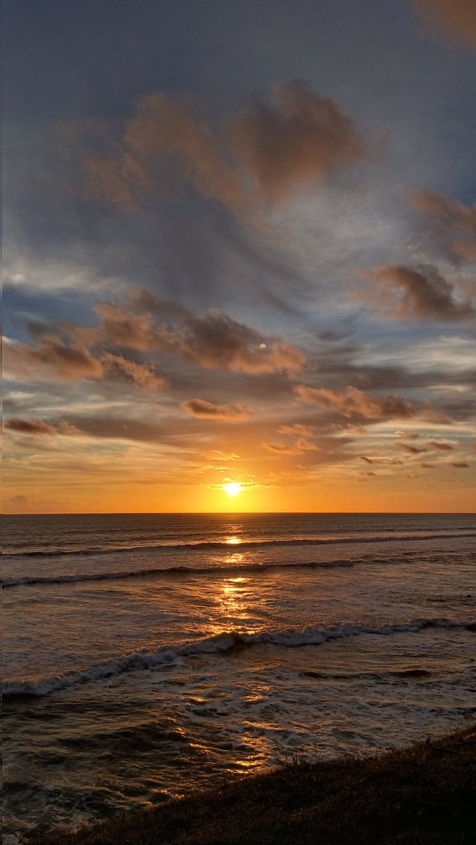 lm_idh's tweet image. 