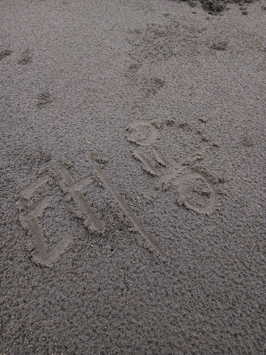 lm_idh's tweet image. 