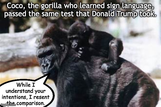 martycomroe's tweet image. TheAmericanBeaverhound
SAME AS IT EVER WAS
Japan Epstein TrumpOnomics