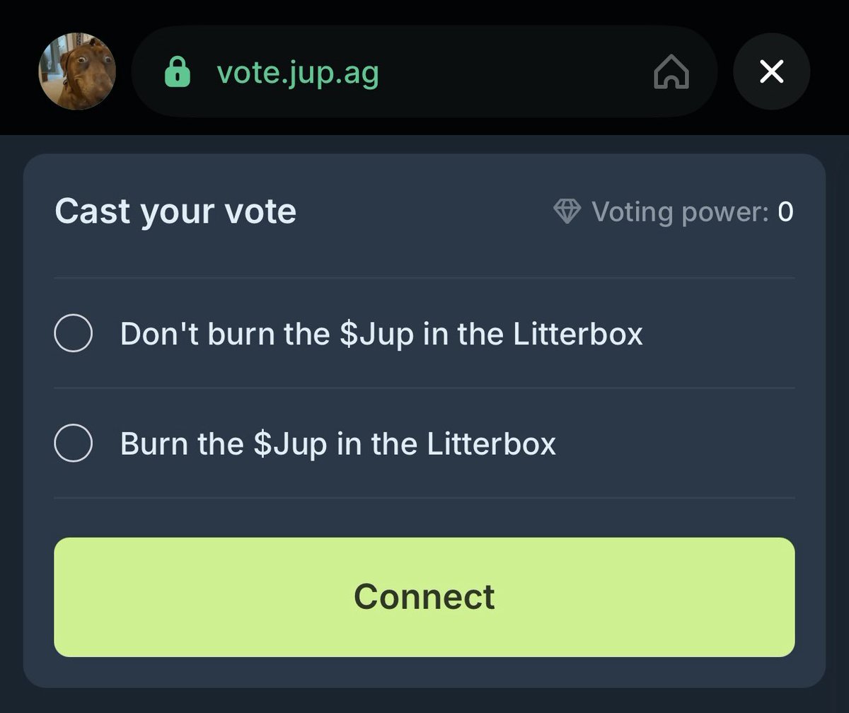Cloudz (@famouscloudzz) on Twitter photo 🚨JUST IN: THE JUPITER DAO VOTE TO BURN OR TO NOT BURN 130M $JUP IS NOW LIVE! 
what’s your vote? 🚨JUST IN: THE JUPITER DAO VOTE TO BURN OR TO NOT BURN 130M $JUP IS NOW LIVE! 
what’s your vote?