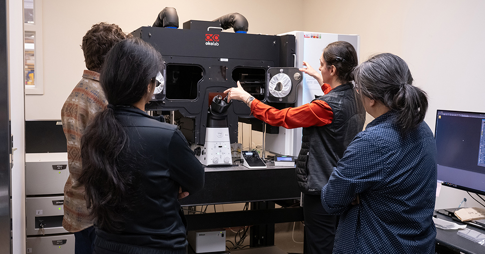 Looking for expert support in experimental design and data analysis? Our team at the Network Biology Collaborative Centre is here to help! 

Partner with our facility experts to take your research further: nbcc.lunenfeld.ca

#SinaiHealth #LTRI