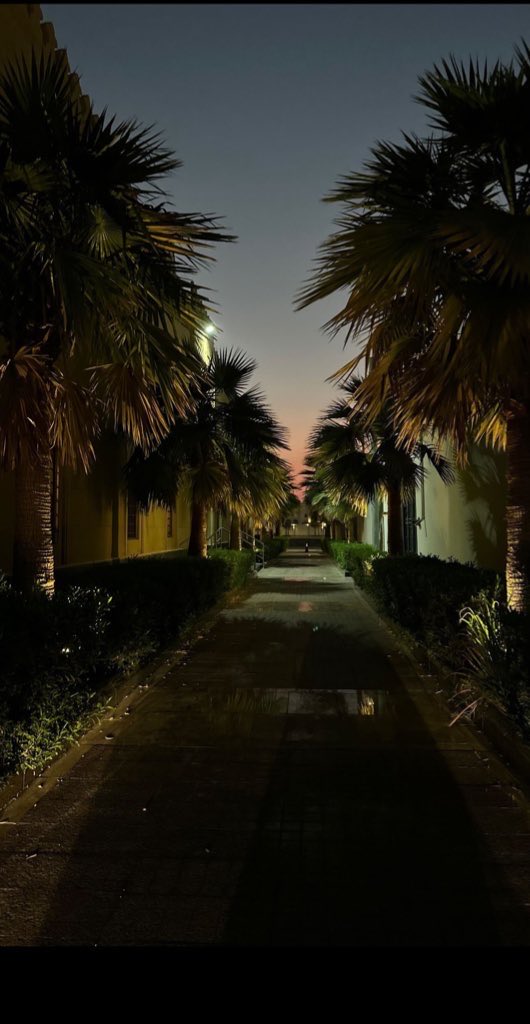 A (@am_8ni) on Twitter photo 