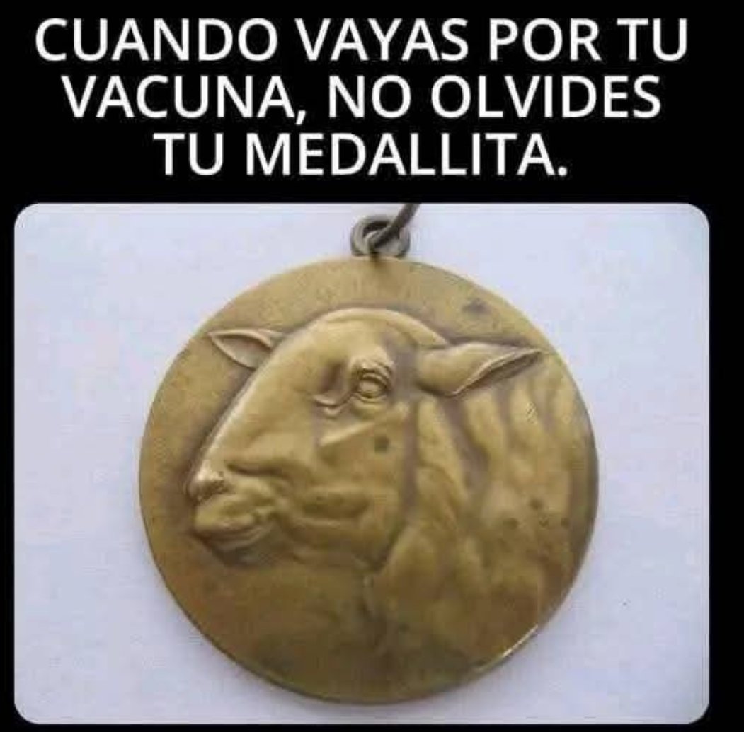 JuanMuncc's tweet photo. 😂😂😂😂😂😂😂😂😂 https://t.co/n7TQrCPZdL