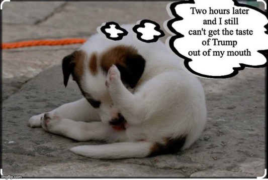 martycomroe's tweet image. TheAmericanBeaverhound
SAME AS IT EVER WAS
Japan Epstein TrumpOnomics