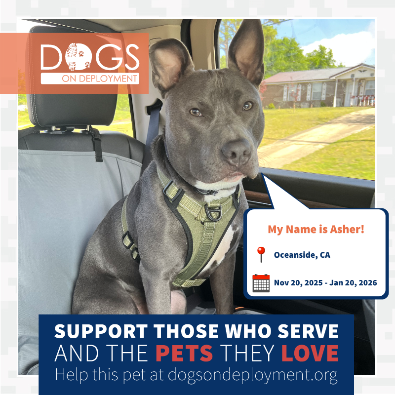 DogsonDeploymnt's tweet photo. Asher and Lily are in need of DoD Boarders while their humans are deployed!
Asher: https://t.co/NOgk0QUrDV
Lily: https://t.co/7EUxZuaSyX
(Must be registered as a DoD Boarder and logged on to view all information)
#DoDPetInNeed #MilitaryPetInNeed #DogsonDeployment #DoDMission https://t.co/NOtTsXyM2Z