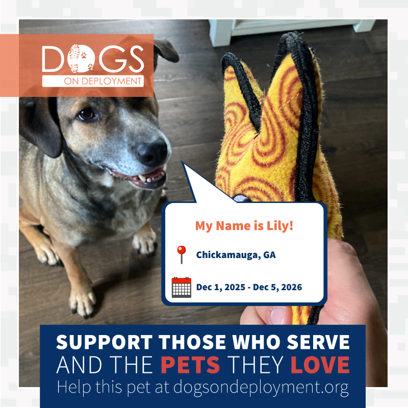 DogsonDeploymnt's tweet photo. Asher and Lily are in need of DoD Boarders while their humans are deployed!
Asher: https://t.co/NOgk0QUrDV
Lily: https://t.co/7EUxZuaSyX
(Must be registered as a DoD Boarder and logged on to view all information)
#DoDPetInNeed #MilitaryPetInNeed #DogsonDeployment #DoDMission https://t.co/NOtTsXyM2Z