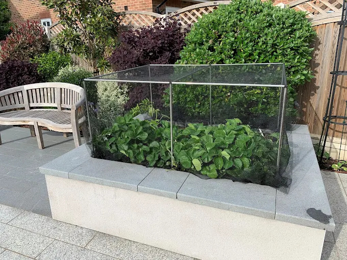 RetailLogInt's tweet image. Ecommerce retailer Gardening Naturally boosts order fulfilment efficiency by 3,500% and triples revenue since using Forterro’s Orderwise
tinyurl.com/2enykj3t