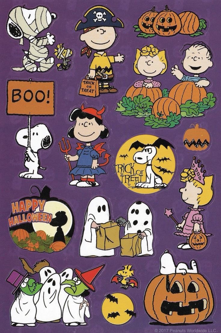 snoopy lover (@snoopyfever_) on Twitter photo 