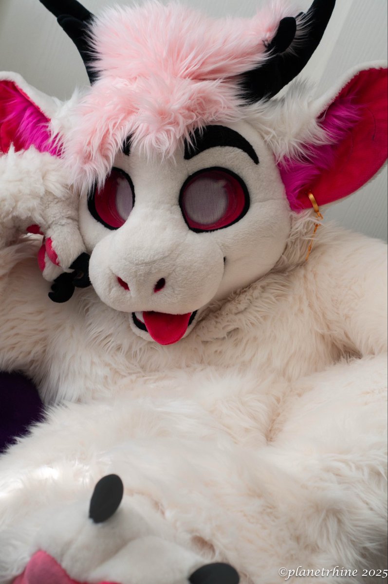 Looking for a hug?
#furry #fursuit #dragon