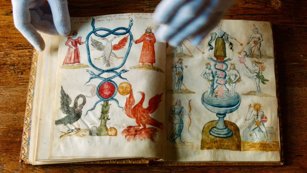 Laura London tweet media