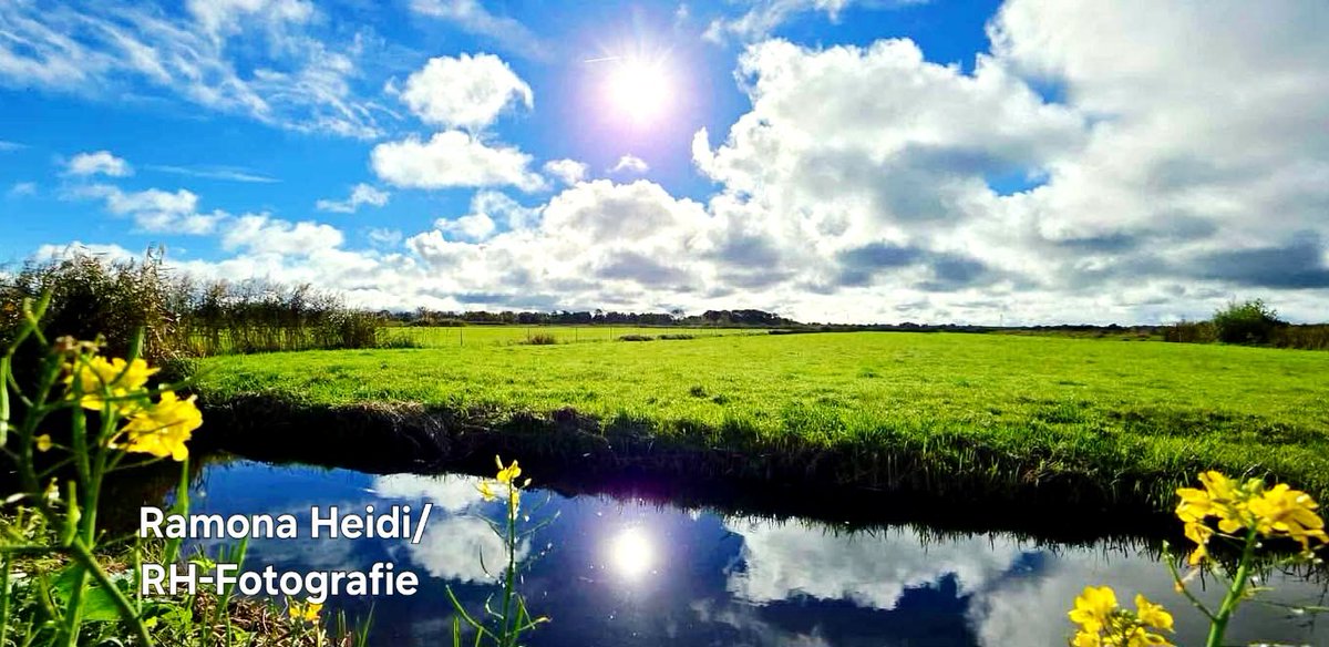 Ramona Heidi Op' t Holt tweet media