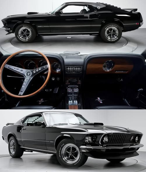 Sofia50020Sofia's tweet photo. 69 Mach 1🇺🇸

Is this your favorite wild horse? https://t.co/YPeC6w19H3