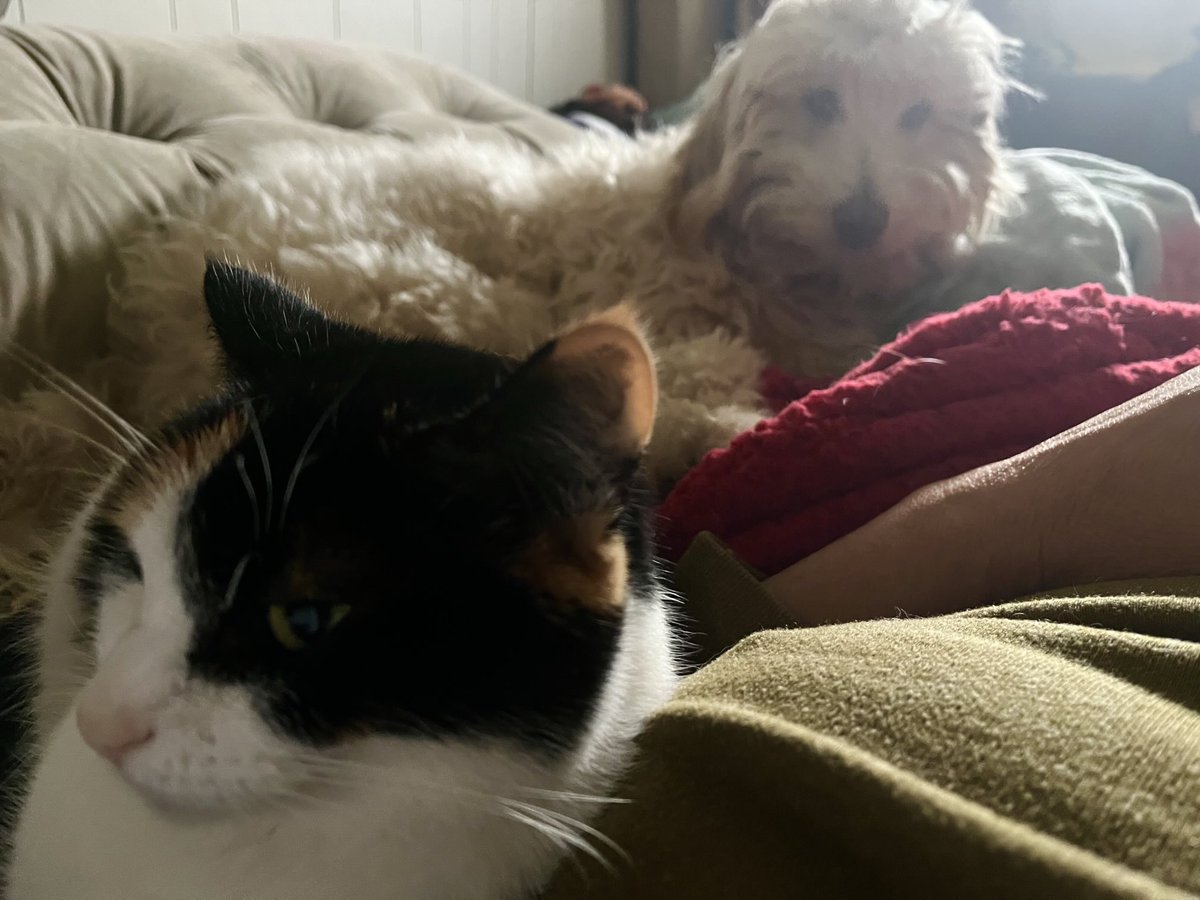 I never wake up alone