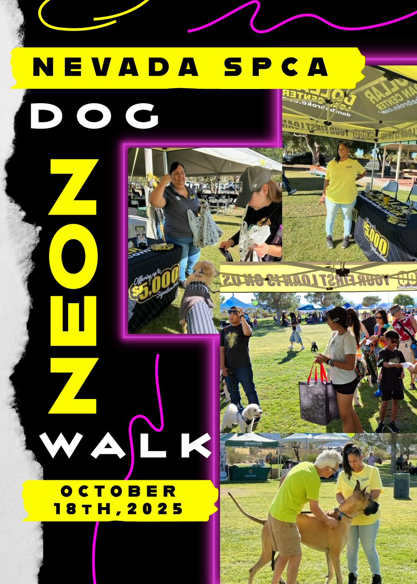 Supporting our local community never looked so BRIGHT! DLC had a blast at Nevada SPCA's Annual Neon Dog Walk this year with our locla Las Vegas community! 🐶🤝