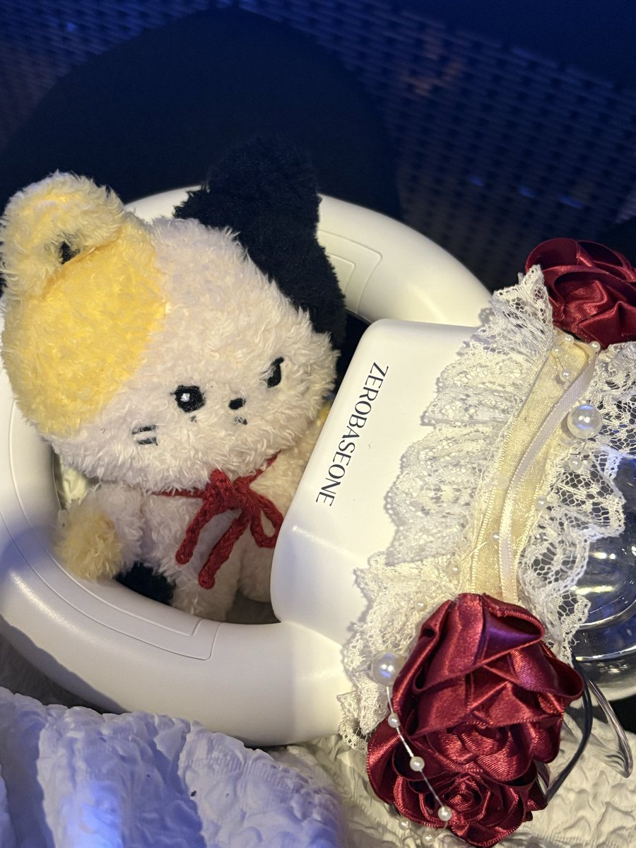 ayaka_tp914's tweet photo. ⟡.· https://t.co/UcM8CRhICS