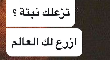 هو الإنسان مايحتاج يوثّق شيء جميل ظاهر على وجهه لكن .. نبتات اليوم اللي جاتني بعد ماحزنت على نباتاتي اللي ماتوا أروع شيء كانوا ألقاه ♥️