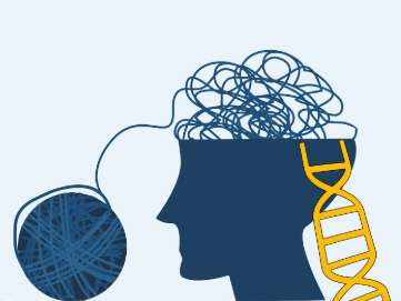 FolieDouceRadio's tweet image. Percée majeure dans la compréhension des mécanismes génétiques de la dépression🧡

👉Lire l&apos;article :
lactualite.com/sante-et-scien…

#SantéMentale #Balado #Radio #Démystification #Québec #depression #genetique #gustavoturecki