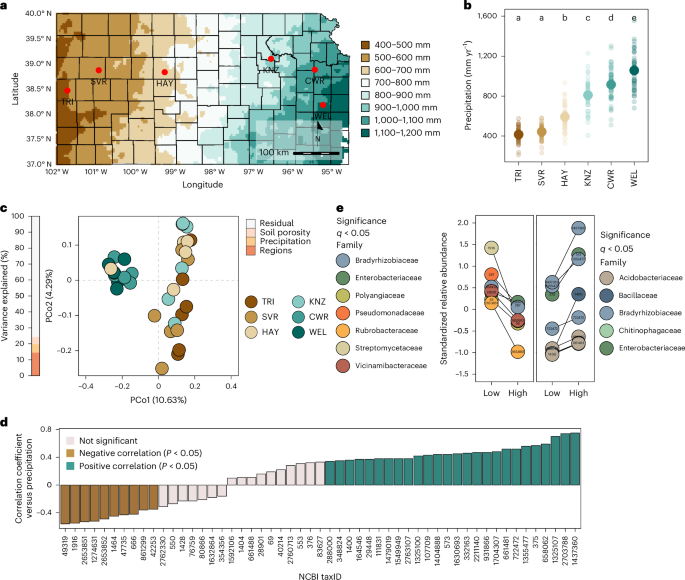 NatureMicrobiol's tweet photo. Out Now! Precipitation legacy effects on soil microbiota facilitate adaptive drought responses in plants https://t.co/49ysXe2RLb #SoilMicrobiota #DroughtResponse #PlantAdaptation https://t.co/OCr2W0D5Zu
