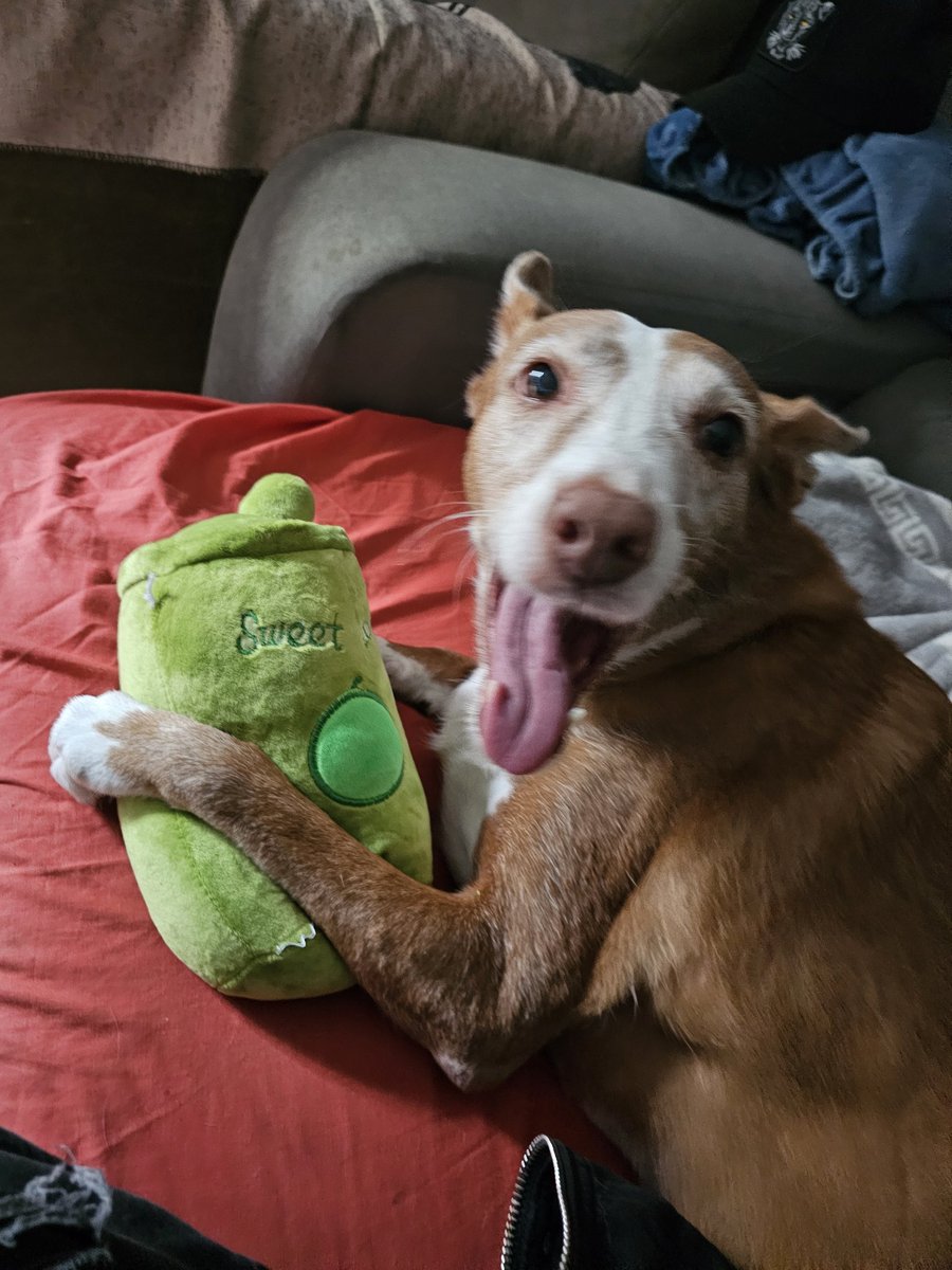 JesterParallel's tweet image. 