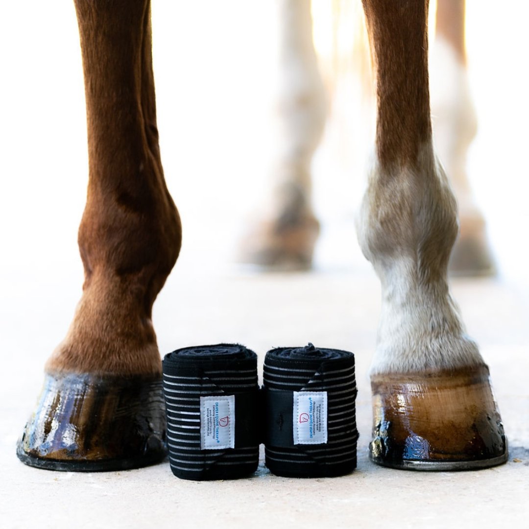 CELLIANT tweet media