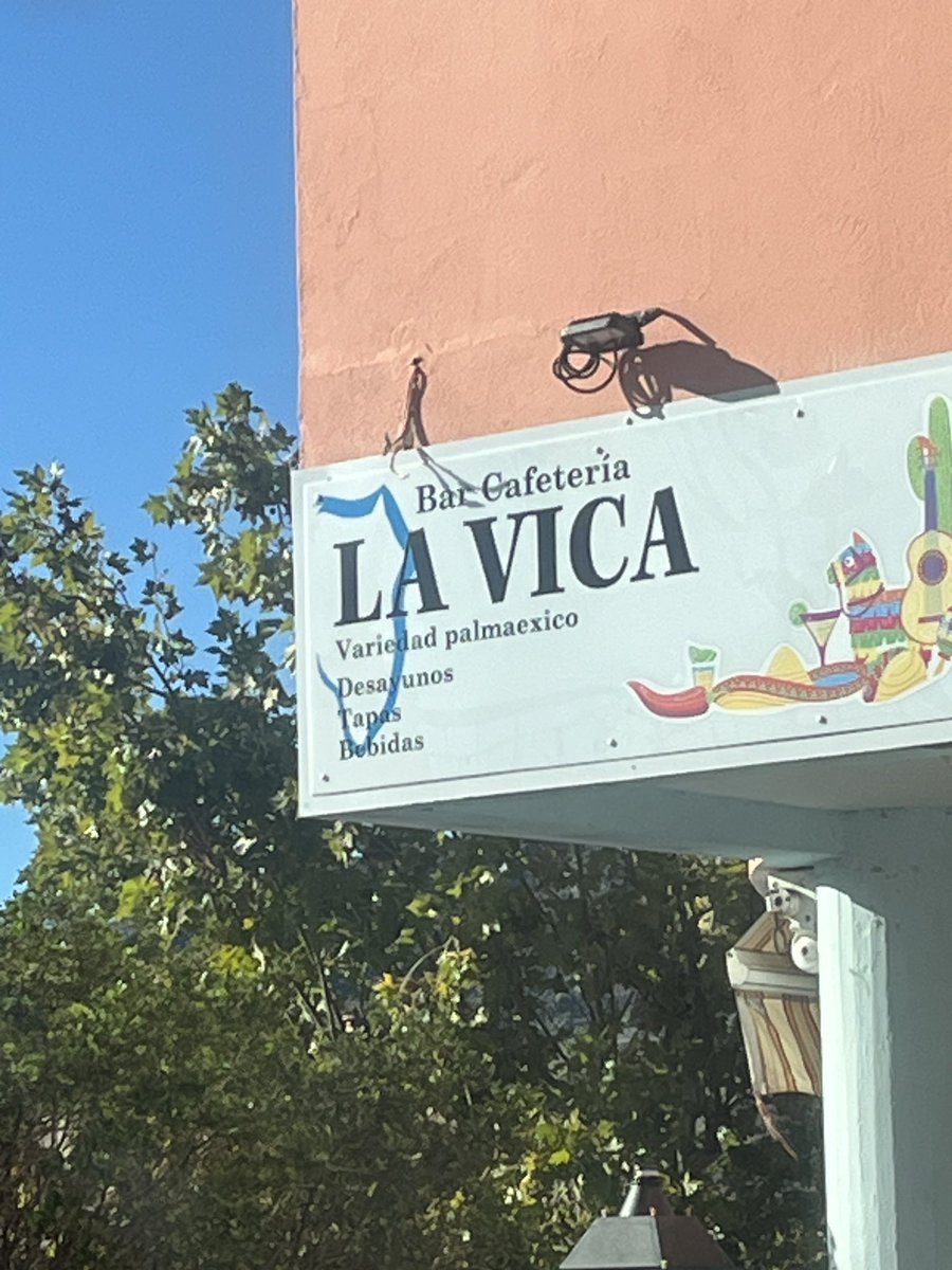 “Palmaexico” mi nuevo palabro favorito. Habrá que entrar y probar #LaPalma