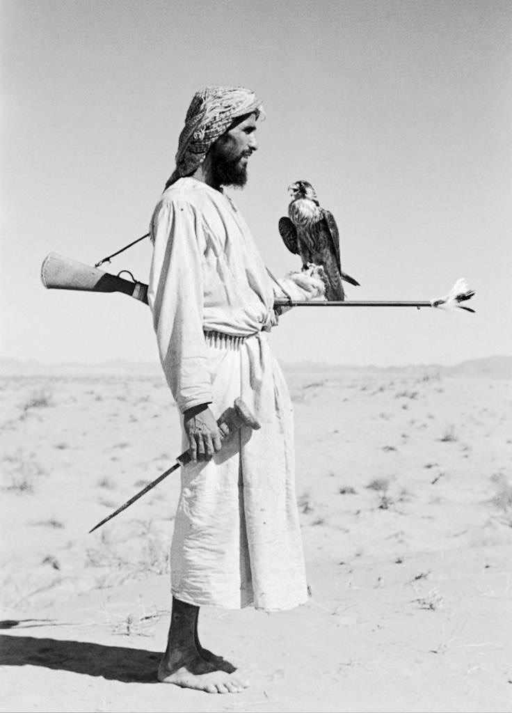 افعل الفعل المجمّل لا تبحث جزاه
 المقام اللي يجمّلك ما يبغى شُكر