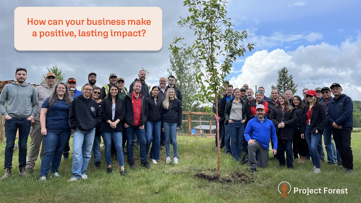ProjectForest_'s tweet image. For businesses, impact goes beyond donations - it’s about growth rooted in purpose.
As we approach #GivingTuesday, discover each week how Project Forest can help your investments grow into lasting change.

Projectforest.ca/contact-us | #CSR #CommunityInvestment #ImpactThatLasts