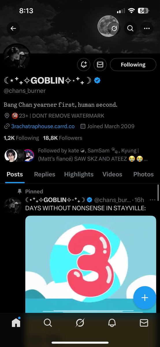 💙Caw💙🇵🇸 SAW SKZ!!!! tweet media
